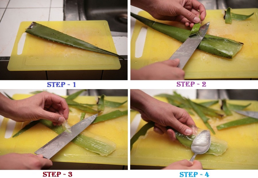 Make Aloe Vera Juice 1-4 Steps