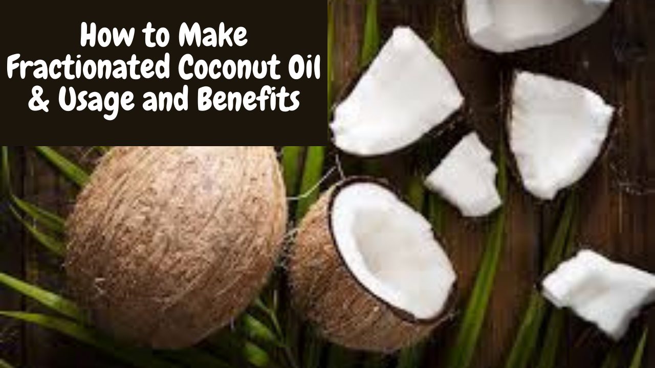 How to Make Fractionated Coconut Oil & Usage and Benefits