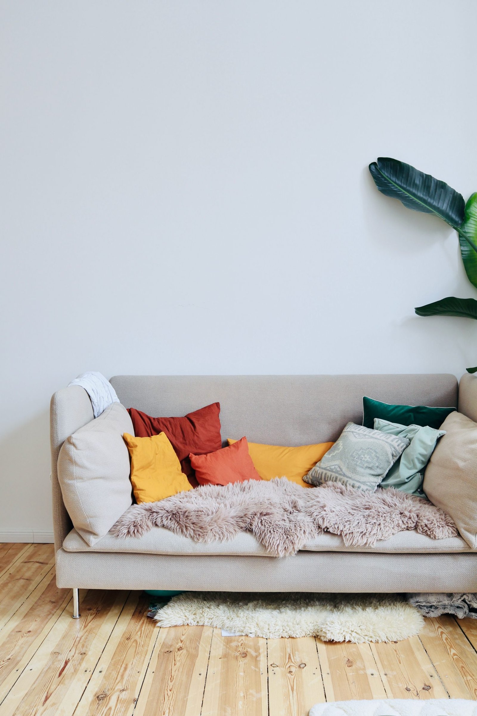 How to clean couch stains at home
