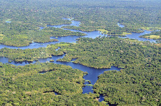 The Amazon Rainforest-Tourist Attractions To Visit In Brazil