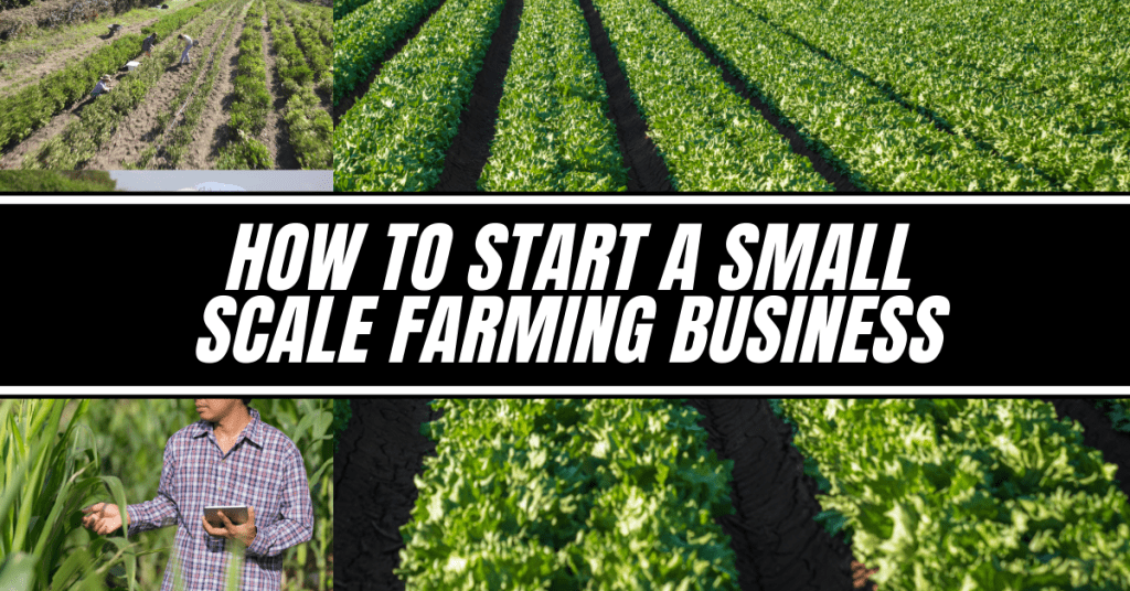 How to Start a Small Scale Farming Business