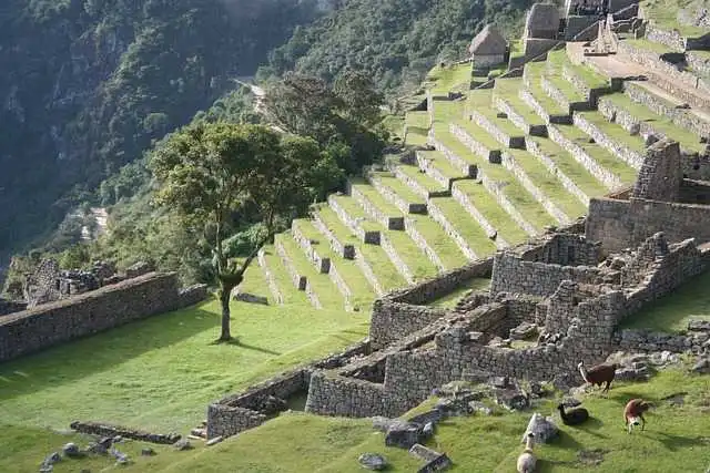 Hiking the Inca Trail, Peru