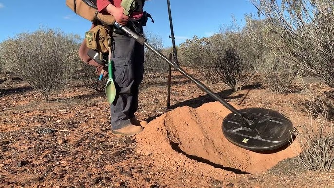 Metal Detecting for Gold