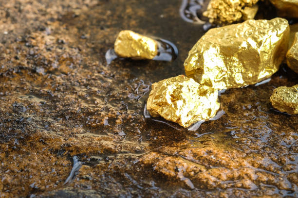 Finding Gold Through Visual Prospecting
