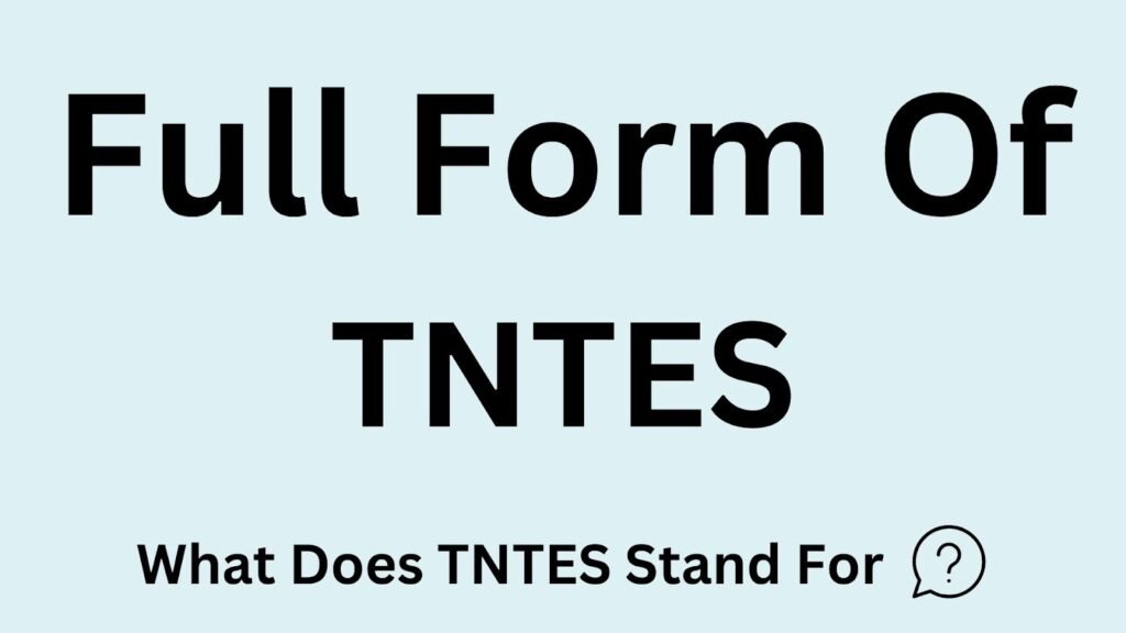 TNTES Meaning